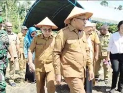 Tim Penggerak PKK Bursel Gelar Gerakan Tanam Cabai