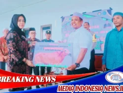 Jelang Idul Adha 1445 H, Pemda Bursel Serahkan Hewan Qurban