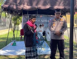 Berbagi Kebahagiaan di Hari Raya Idul Adha 1446 H,  Polres Bursel Kurbankan 2 Ekor Sapi dan 5 Ekor Kambing