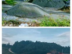 Perusahaan Sawit di Gane Barat Selatan Diduga Angkut Pasir Ilegal, Kades Jibubu Mengaku Tidak Mengetahui