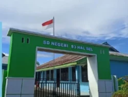 Tiga Bulan “Menghilang”, Guru PNS di SDN 93 Halmahera Selatan Diduga Abaikan Tugas, Hak Belajar Siswa Terancam