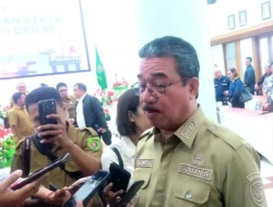 Gubernur Maluku Bahas Pengelolaan Energi dan Blok Masela Bersama DPD RI