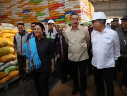 Ketua Komisi IV DPR RI Apresiasi Capaian Pengadaan CBP 4 Juta Ton, Gubernur Maluku Hadiri Tasyakuran Bulog