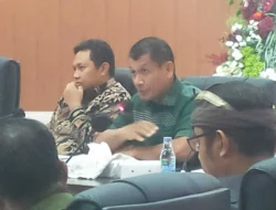Irawadi Dorong Penguatan Mitigasi Karhutla dan Kesiapsiagaan Bencana di Maluku