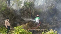 Karhutla Siwang Hanguskan 6 Hektare, Dinas Kehutanan Maluku Pantau 369 Hotspot