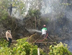 Karhutla Siwang Hanguskan 6 Hektare, Dinas Kehutanan Maluku Pantau 369 Hotspot
