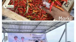 Cabai Rawit Tembus Rp160 Ribu per Kg Inawati: Pemprov Maluku Jual Rp40 Ribu Lewat Pangan Murah