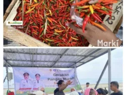 Cabai Rawit Tembus Rp160 Ribu per Kg Inawati: Pemprov Maluku Jual Rp40 Ribu Lewat Pangan Murah